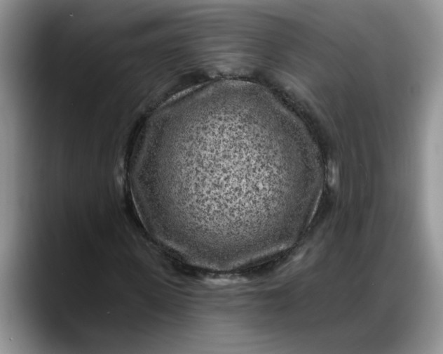 X0000088220915200705292110