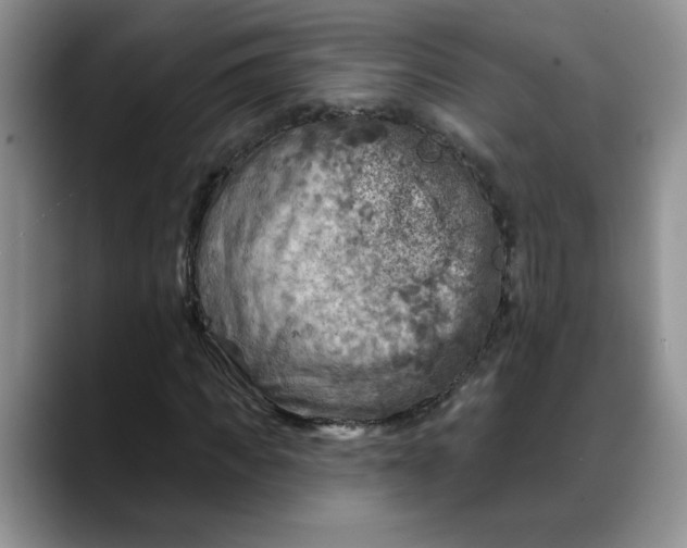 X0000088220917200705292110