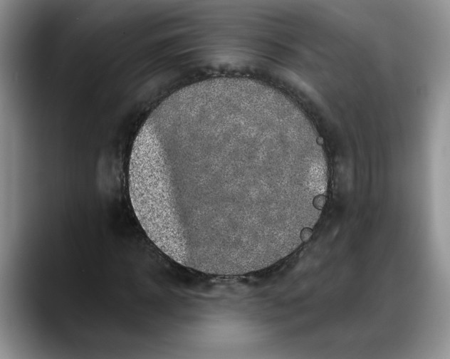 X0000088220918200705292110