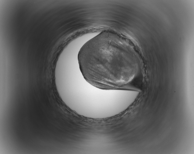 X0000088220920200705292110