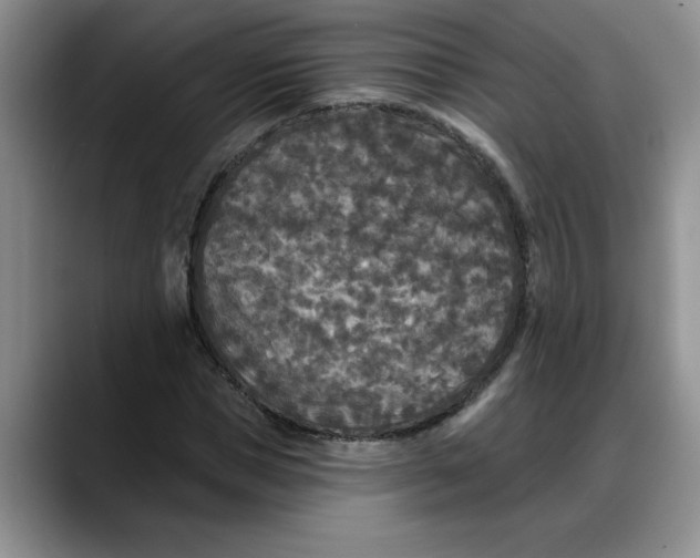 X0000088220921200705292110