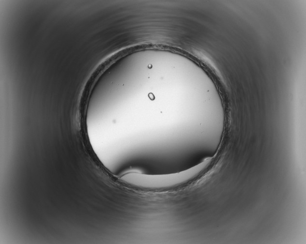 X0000088220924200705292110