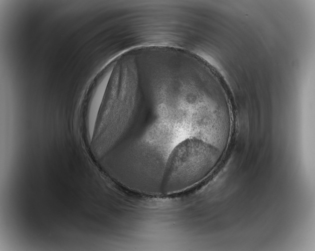 X0000088220925200705292110