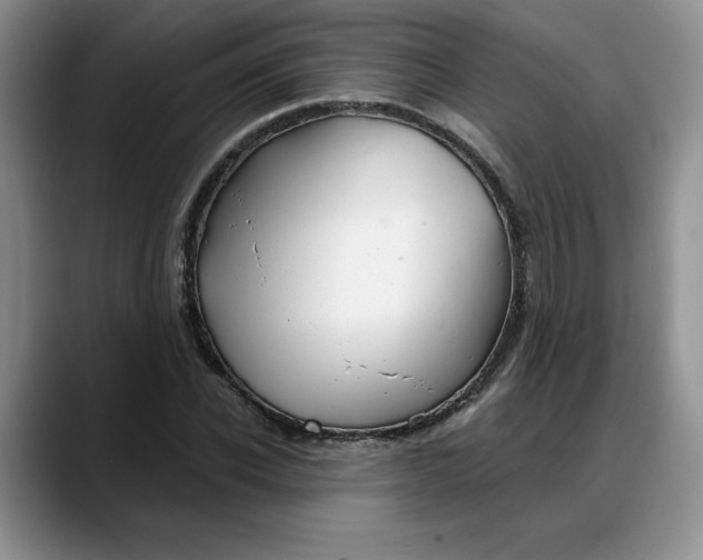 X0000088220926200705292110