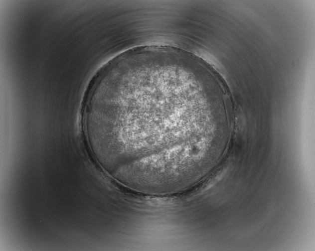 X0000088220928200705292110