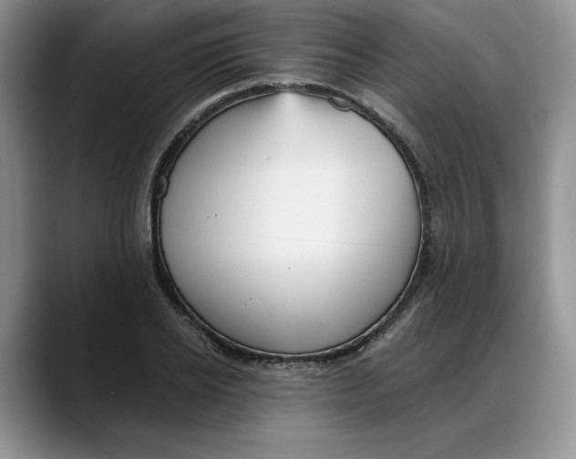 X0000088220934200705292110