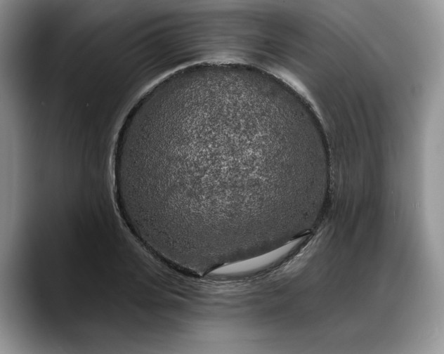 X0000088220935200705292110