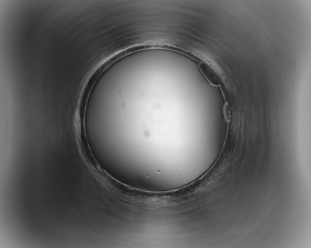 X0000088220936200705292110