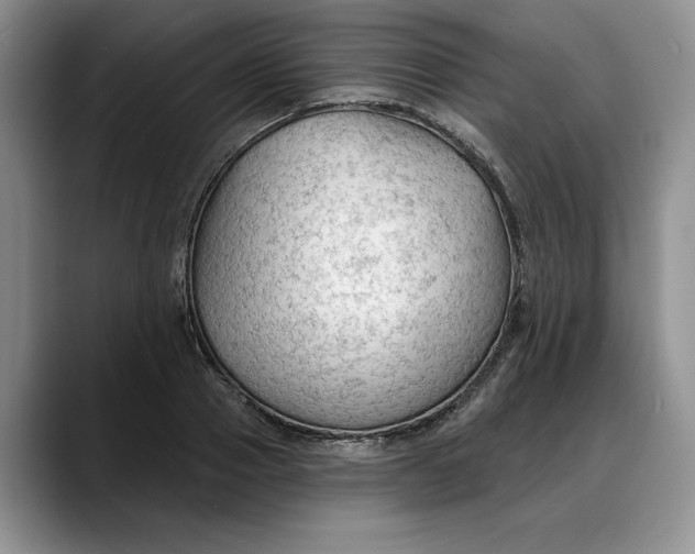 X0000088220937200705292110