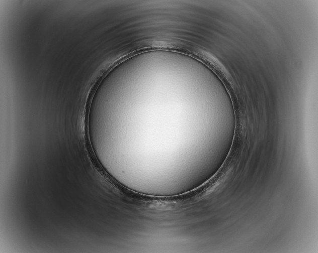 X0000088220938200705292110