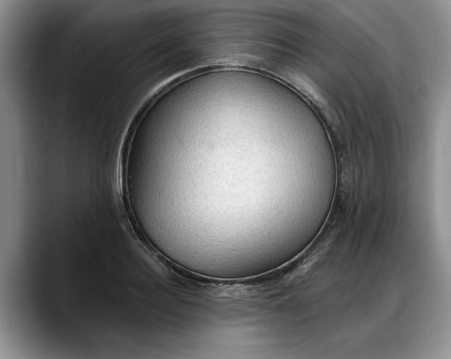 X0000088220940200705292110