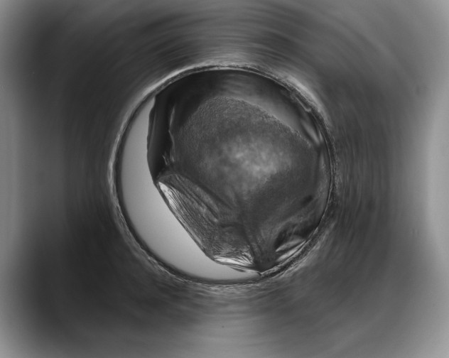 X0000088220944200705292110