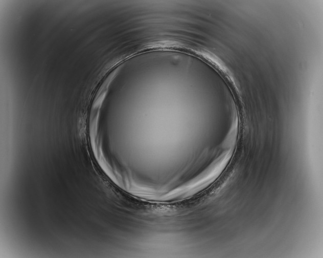 X0000088220945200705292110