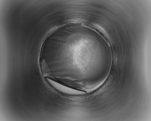 X0000088220946200705292110