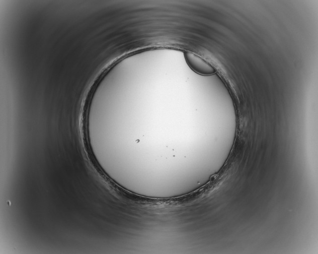 X0000088220947200705292110