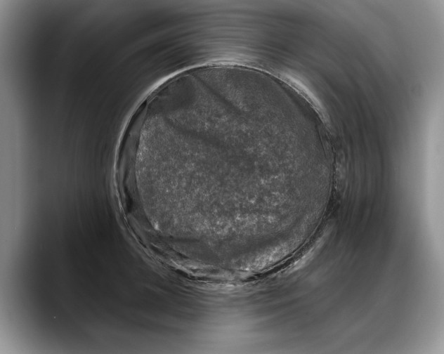 X0000088220948200705292110