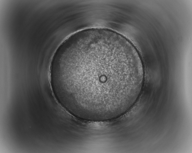 X0000088220950200705292110