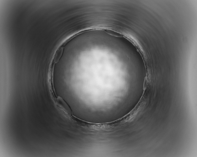 X0000088220952200705292111