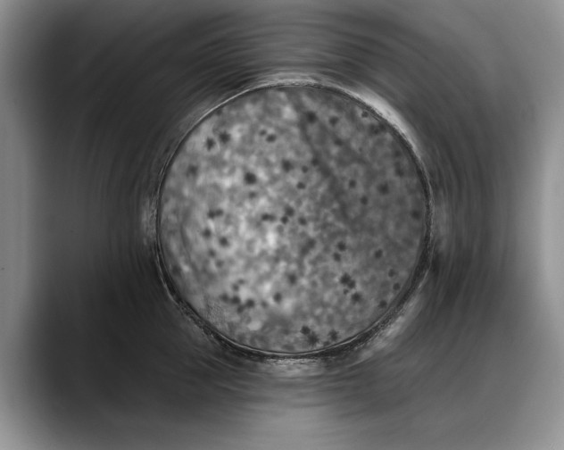 X0000088220953200705292111