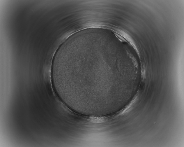 X0000088220954200705292111