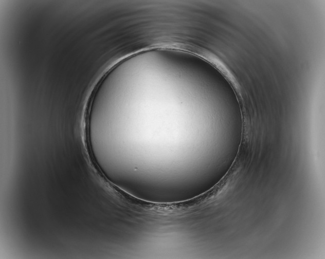 X0000088220955200705292111