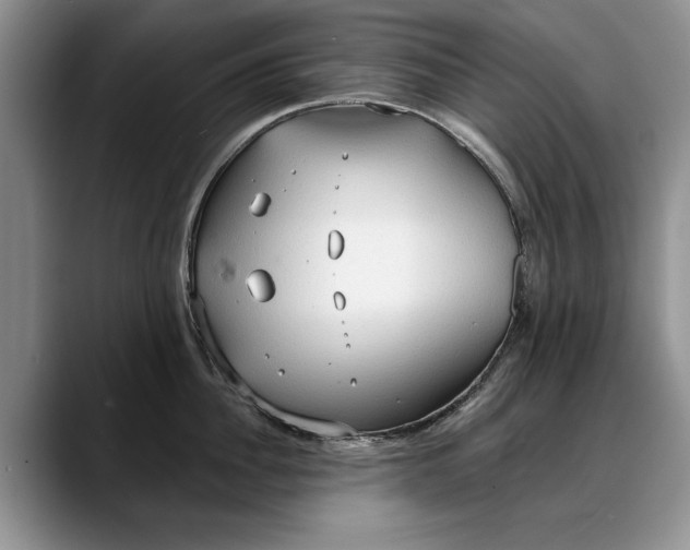 X0000088220956200705292111