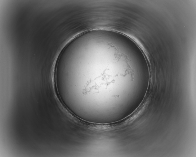 X0000088220957200705292111