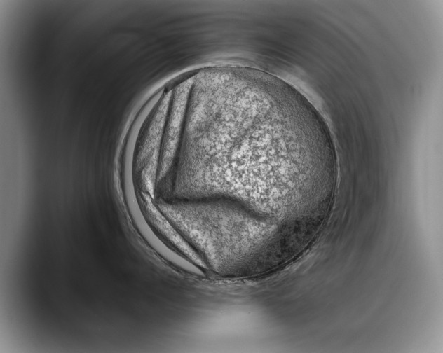 X0000088220960200705292111