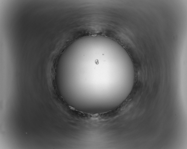 X0000088220961200705292110