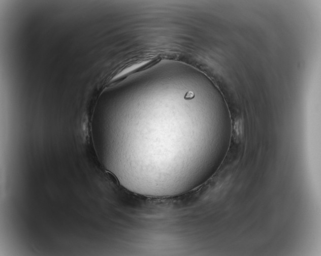 X0000088220963200705292110