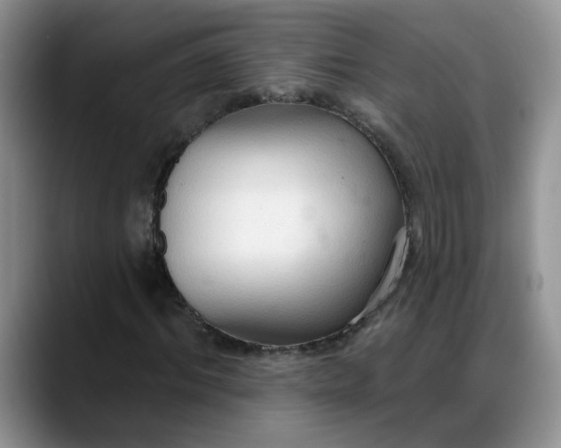 X0000088220964200705292110