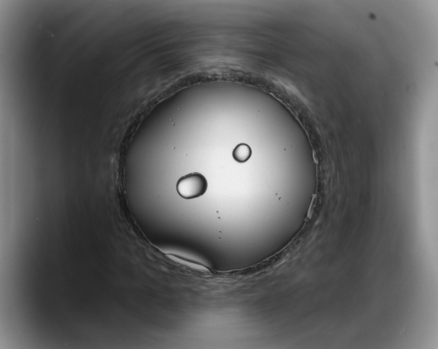 X0000088220965200705292110