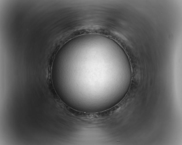 X0000088220966200705292110