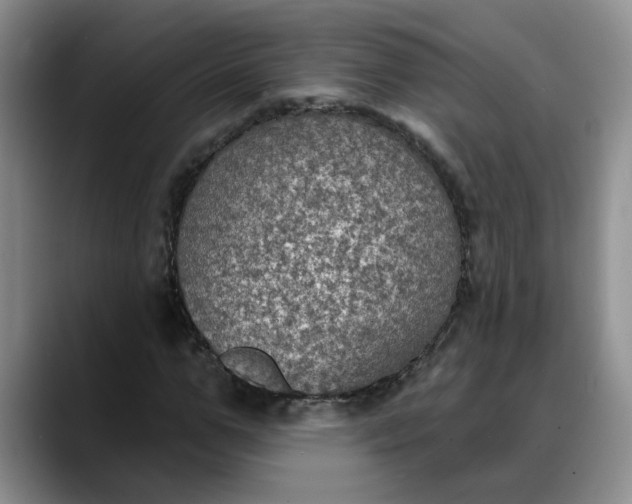 X0000088220967200705292110