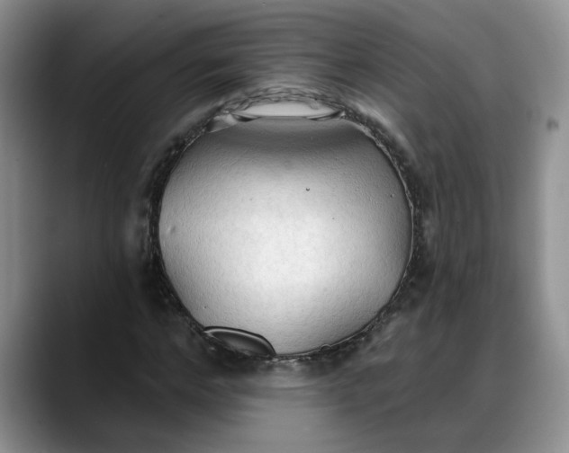 X0000088220968200705292110