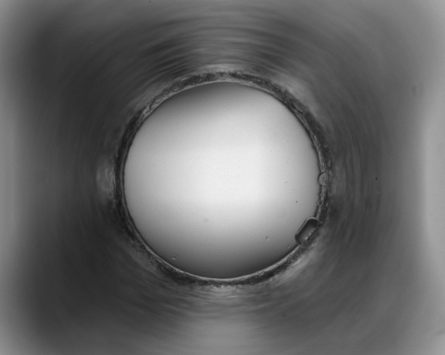 X0000088220969200705292110