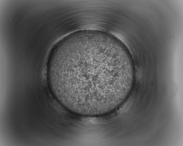 X0000088220971200705292110