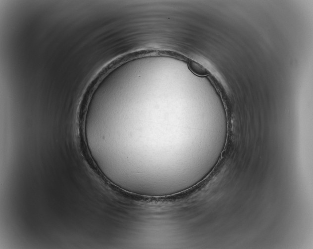 X0000088220972200705292110