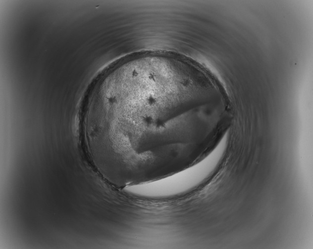 X0000088220975200705292110