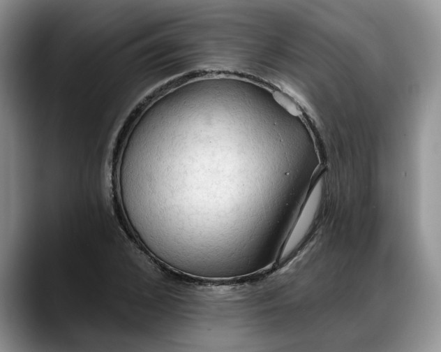 X0000088220976200705292110