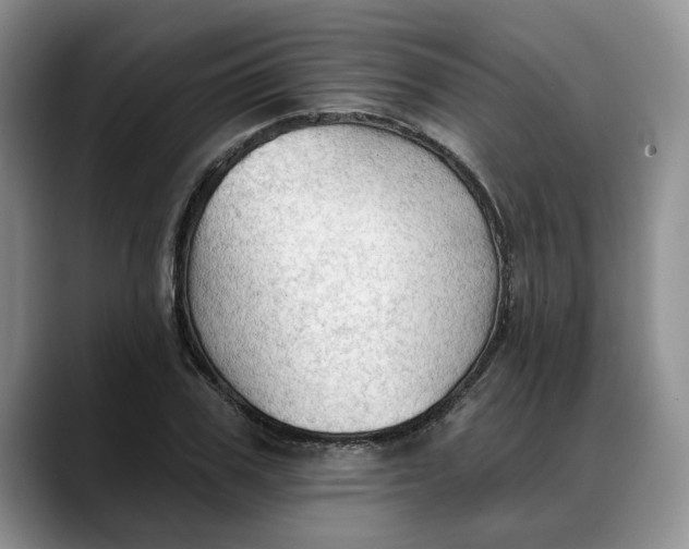 X0000088220979200705292110