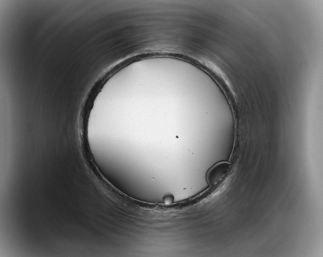 X0000088220981200705292110