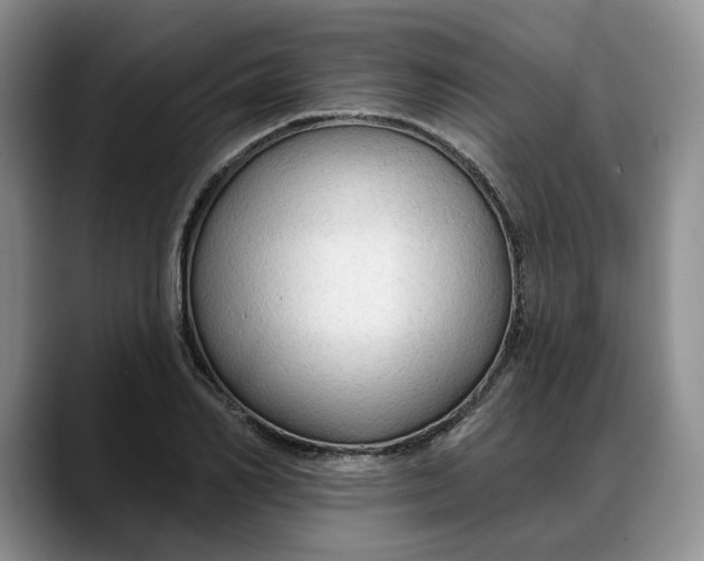 X0000088220982200705292110