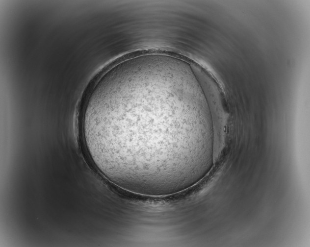 X0000088220983200705292110