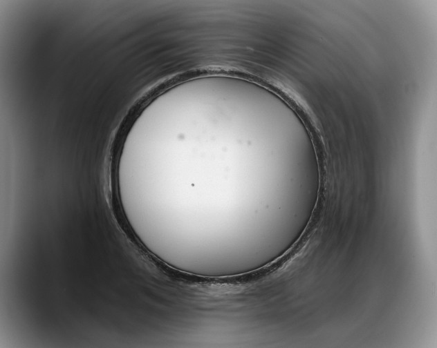 X0000088220984200705292110