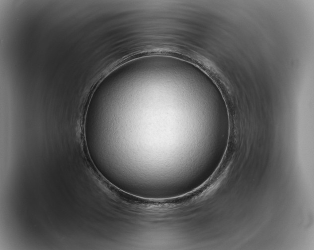 X0000088220985200705292110