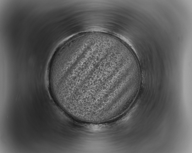 X0000088220987200705292110