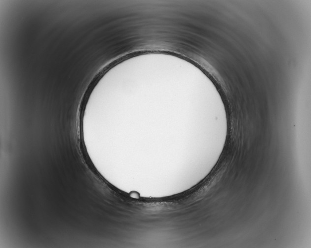 X0000088220988200705292110