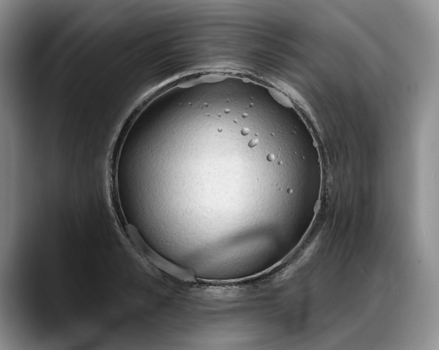 X0000088220989200705292110