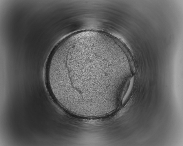 X0000088220991200705292110